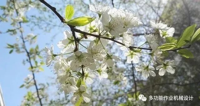 多功能果园作业平台--果园管理的好搭档！
